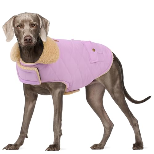 Hunde-Winterjacke für extra große Hunde, winddicht, kaltes Wetter, Haustierkleidung, Schneejacke, Golden Retriever, Labrador Retriever, Husky, Flieder, Größe XL von PREFERHOUSE