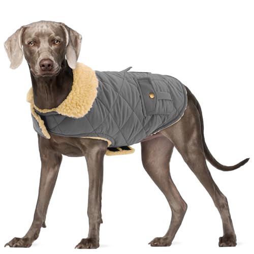 Hundemantel für große Hunde, warm, winddicht, für extra große Hunde, Schneejacke für Golden Retriever, Labrador Retriever, Husky, Grau, XL Hundemantel für große Hunde, warm, winddicht, für extra große Hunde, Schneejacke für Golden Retriever, Labrador Retriever, Husky, Grau, XL von PREFERHOUSE