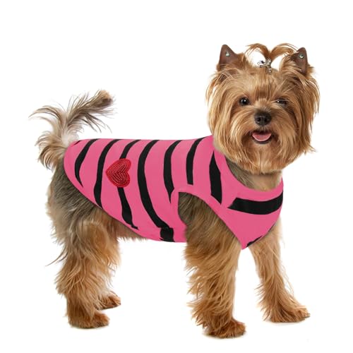 Preferhouse Gestreifte Hunde-T-Shirts für kleine Hunde und Katzen, Hundeweste, Haustierbekleidung, T-Shirts für Frühling und Sommer, geeignet für kleine und mittelgroße und große Haustiere, Preferhouse Gestreifte Hunde-T-Shirts für kleine Hunde und Katzen, Hundeweste, Haustierbekleidung, T-Shirts für Frühling und Sommer, geeignet für kleine und mittelgroße und große Haustiere, von PREFERHOUSE