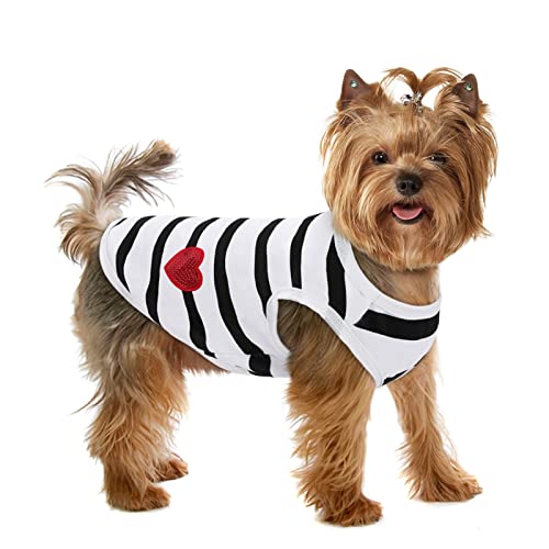 Preferhouse Gestreiftes T-Shirt für Hunde und Katzen, Baumwolle, für Frühling und Sommer, geeignet für kleine und mittelgroße und große Haustiere, Französische Bulldogge, Bichon Preferhouse Gestreiftes T-Shirt für Hunde und Katzen, Baumwolle, für Frühling und Sommer, geeignet für kleine und mittelgroße und große Haustiere, Französische Bulldogge, Bichon von PREFERHOUSE