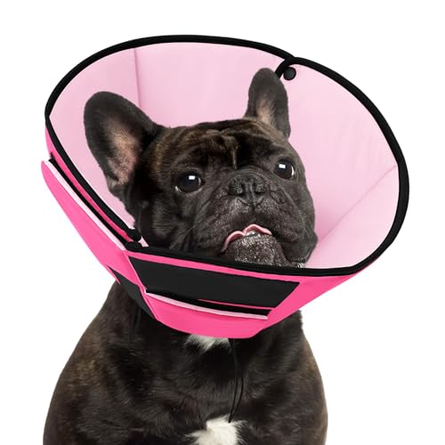 Preferhouse Hunde-Genesungshalsband Kegel für mittelgroße Hunde, verstellbare Hundekegel-Alternative nach Operationen für Hunde, um das Lecken zu stoppen, atmungsaktiver weicher Kegel für mittelgroße Preferhouse Hunde-Genesungshalsband Kegel für mittelgroße Hunde, verstellbare Hundekegel-Alternative nach Operationen für Hunde, um das Lecken zu stoppen, atmungsaktiver weicher Kegel für mittelgroße von PREFERHOUSE