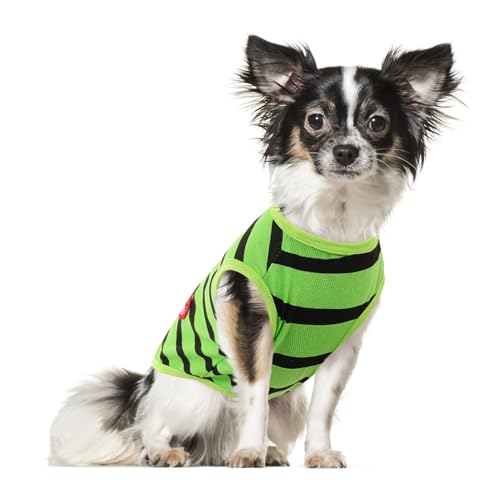 Preferhouse Hunde-Shirts für extra kleine Hunde, gestreifte T-Shirts, Haustierbekleidung, Hunde-Tanktop, Frühling und Sommer, geeignet für Chihuahua, Französische Bulldogge, Bichon, Shih Tzu Preferhouse Hunde-Shirts für extra kleine Hunde, gestreifte T-Shirts, Haustierbekleidung, Hunde-Tanktop, Frühling und Sommer, geeignet für Chihuahua, Französische Bulldogge, Bichon, Shih Tzu von PREFERHOUSE