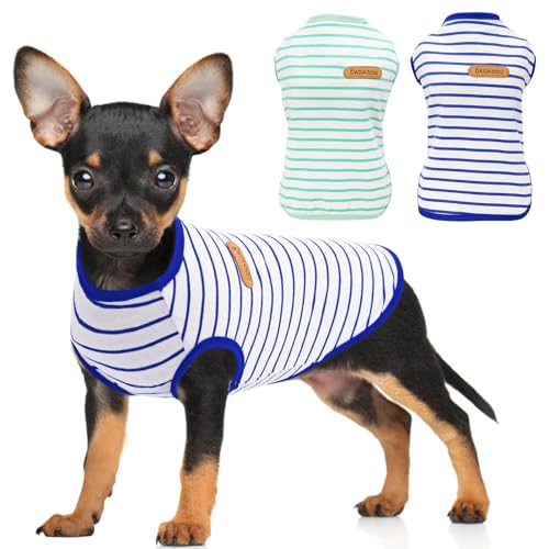 Preferhouse Hunde-Shirts für kleine Hunde, 2er-Pack, Größe S, ärmellos, gestreift, Hundepullover, T-Shirts, leicht, für Welpen, Kätzchen, Tank-Top, Katzen-T-Shirt für Chihuahua, Blaugrün, Größe S Preferhouse Hunde-Shirts für kleine Hunde, 2er-Pack, Größe S, ärmellos, gestreift, Hundepullover, T-Shirts, leicht, für Welpen, Kätzchen, Tank-Top, Katzen-T-Shirt für Chihuahua, Blaugrün, Größe S von PREFERHOUSE
