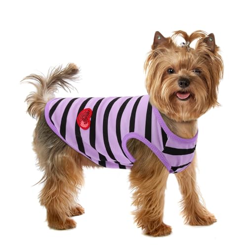 Preferhouse Hunde-Shirts für kleine Hunde, gestreifte T-Shirts, Haustierbekleidung, Hunde-Tank-Top, Frühling und Sommer, geeignet für Chihuahua, Französische Bulldogge, Bichon, Shih Tzu Preferhouse Hunde-Shirts für kleine Hunde, gestreifte T-Shirts, Haustierbekleidung, Hunde-Tank-Top, Frühling und Sommer, geeignet für Chihuahua, Französische Bulldogge, Bichon, Shih Tzu von PREFERHOUSE