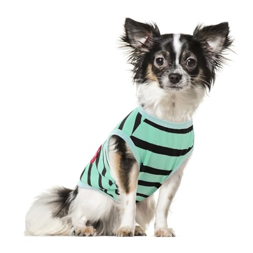 Preferhouse Hunde-Shirts für kleine Hunde, gestreifte T-Shirts, Haustierbekleidung, Hunde-Tank-Top, Frühling und Sommer, geeignet für Chihuahua, Französische Bulldogge, Bichon, Shih Tzu Preferhouse Hunde-Shirts für kleine Hunde, gestreifte T-Shirts, Haustierbekleidung, Hunde-Tank-Top, Frühling und Sommer, geeignet für Chihuahua, Französische Bulldogge, Bichon, Shih Tzu von PREFERHOUSE