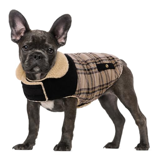 Winterjacke für große Hunde, warm, winddicht, für kaltes Wetter, Schneejacke, Haustierkleidung, Golden Retriever, Labrador Retriever, Husky, Beige, Größe L von PREFERHOUSE