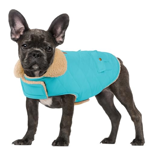 Winterjacke für große Hunde, warm, winddicht, für kaltes Wetter, Schneejacke, Haustierkleidung, Golden Retriever, Labrador Retriever, Husky, Blau, Größe L Winterjacke für große Hunde, warm, winddicht, für kaltes Wetter, Schneejacke, Haustierkleidung, Golden Retriever, Labrador Retriever, Husky, Blau, Größe L von PREFERHOUSE