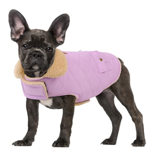 Winterjacke für große Hunde, warm, winddicht, für kaltes Wetter, Schneejacke, Haustierkleidung, Golden Retriever, Labrador Retriever, Husky, Flieder, Größe L Winterjacke für große Hunde, warm, winddicht, für kaltes Wetter, Schneejacke, Haustierkleidung, Golden Retriever, Labrador Retriever, Husky, Flieder, Größe L von PREFERHOUSE