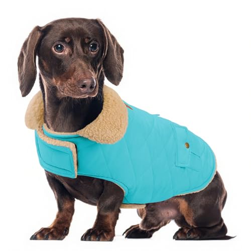 Wintermantel für mittelgroße Hunde, karierte Hundejacke, Haustiermantel für kaltes Wetter, winddichte warme Kleidung, verdickte Haustier-Outfits für drinnen und draußen, Blau, Größe M von PREFERHOUSE