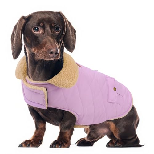 Wintermantel für mittelgroße Hunde, karierte Hundejacke, Haustiermantel für kaltes Wetter, winddichte warme Kleidung, verdickte Haustier-Outfits für drinnen und draußen, Flieder, Größe M von PREFERHOUSE