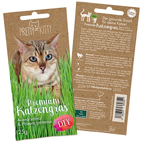 PRETTY KITTY Katzengras Saatgut : 1 Beutel je 25g Katzengras Samen für 10 Töpfe fertiges Katzengras – Natürliche Katzen Leckerlies – Pflanzen Samen – Grassamen – Samen für Katzengras – Gras Katze von PRETTY KITTY