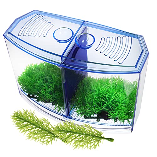 PRETYZOOM 1satz Kunststoff-Aquarium Mit Künstlichen Pflanzen Transparentes Desktop Fischbecken Für Hydroponik Und Landschaften Platzsparendes Design Mit Trennwand Und Hochwertiger von PRETYZOOM