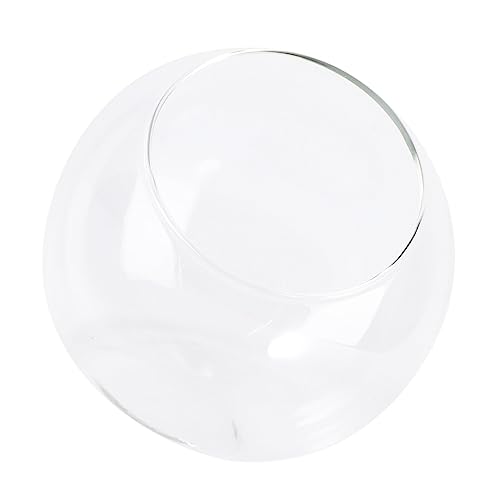 PRETYZOOM 1stück Mini-glasflasche Für Mikrolandschaften Dekorationsbehälter Für Pflanzen Und DIY-projekte Für Tischdeko Terrarium-vase von PRETYZOOM