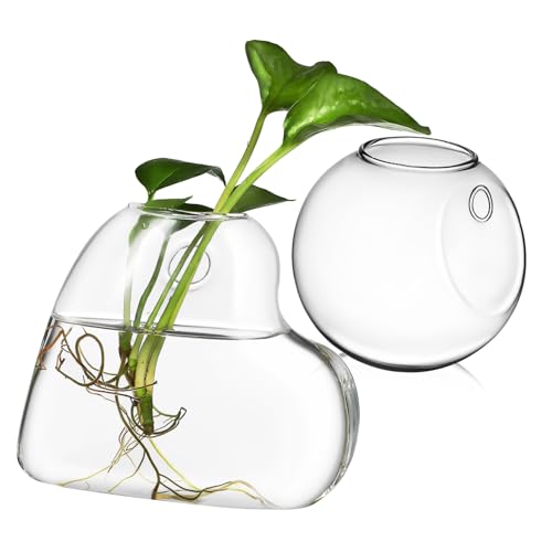 PRETYZOOM 2er-Pack Hängende Pflanzenhalter Aus Glas Pflanzen-terrarienständer Wandhalterung Glasvase Für Zimmerpflanzen Und Terrarien von PRETYZOOM