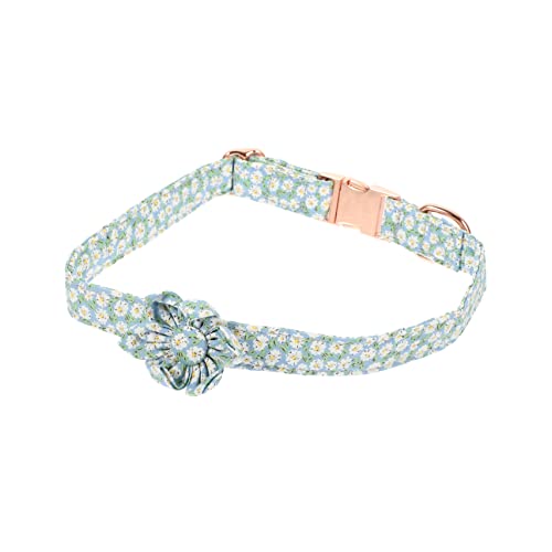 PRETYZOOM 2st Haustierhalsband Katzenhalsband Mit Metallschnalle Katze Bindet Halsring Kleines Welpenhalsband Hundehalsband Aus Baumwolle Hundehalsbänder Schal Roségold Reine Baumwolle PRETYZOOM 2st Haustierhalsband Katzenhalsband Mit Metallschnalle Katze Bindet Halsring Kleines Welpenhalsband Hundehalsband Aus Baumwolle Hundehalsbänder Schal Roségold Reine Baumwolle von PRETYZOOM