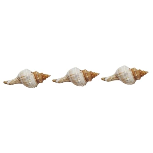 PRETYZOOM 3st Aquarium Muschel Dekoration Hochzeitsdeko Empfindlich Natürliche Muschel Halterung von PRETYZOOM