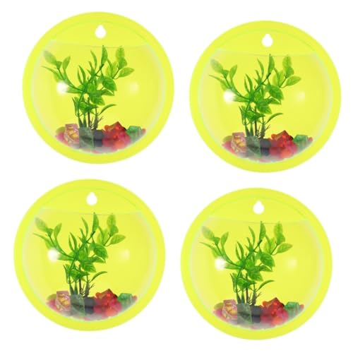 PRETYZOOM 4 Stück Wand Goldfischglas Handyständer Betta-Aquarium Zimmerpflanzentöpfe Töpfe für Pflanzen große Acrylvasen Blumenvase aus Acryl Haushalt Blumentopf Pflanzenständer Wandbehang PRETYZOOM 4 Stück Wand Goldfischglas Handyständer Betta-Aquarium Zimmerpflanzentöpfe Töpfe für Pflanzen große Acrylvasen Blumenvase aus Acryl Haushalt Blumentopf Pflanzenständer Wandbehang von PRETYZOOM
