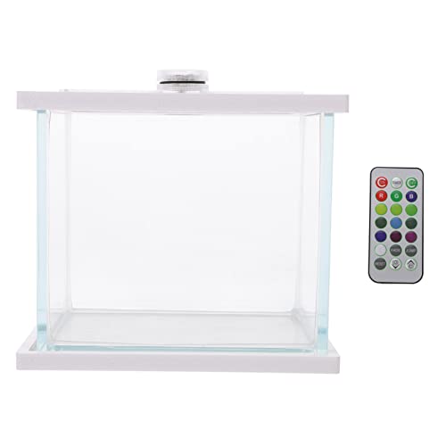 PRETYZOOM Mini-Aquarium-luftpumpe Künstliches Aquarium Zubehör Für Die Fischfütterung Zu Hause Elegantes Glas-Aquarium Als Wohnzimmer- PRETYZOOM Mini-Aquarium-luftpumpe Künstliches Aquarium Zubehör Für Die Fischfütterung Zu Hause Elegantes Glas-Aquarium Als Wohnzimmer- von PRETYZOOM