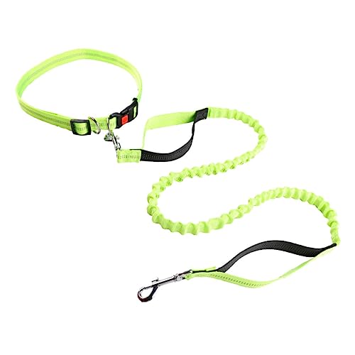 PRETYZOOM Haustierleine Trainingsleine Für Haustiere Hundeseil Laufseil Zugseil Für Hunde Anti-Haustier Zugseil Für Haustiere Schwarze Leine Für Hunde Autogurte Führseil Polyester Joggen PRETYZOOM Haustierleine Trainingsleine Für Haustiere Hundeseil Laufseil Zugseil Für Hunde Anti-Haustier Zugseil Für Haustiere Schwarze Leine Für Hunde Autogurte Führseil Polyester Joggen von PRETYZOOM