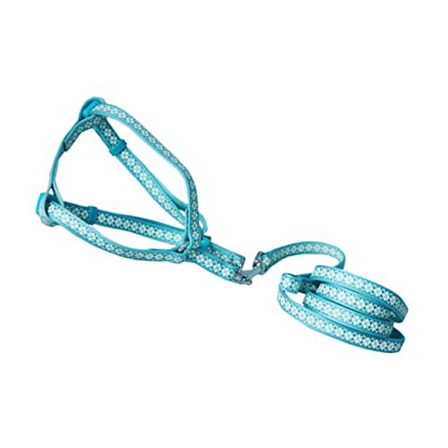 PRETYZOOM Verstellbares Katzenwestengeschirr Laufender Hund Hundeleine Hamstergeschirr Geschirr Für Kleine Hunde Geschirrseil Keilriemen Mit Dem Hund Spazieren Gehen Kordelzug Nylon PRETYZOOM Verstellbares Katzenwestengeschirr Laufender Hund Hundeleine Hamstergeschirr Geschirr Für Kleine Hunde Geschirrseil Keilriemen Mit Dem Hund Spazieren Gehen Kordelzug Nylon von PRETYZOOM