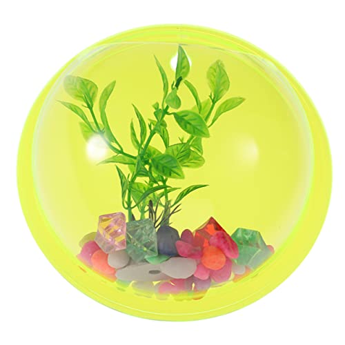 PRETYZOOM Wandmontierter Goldfisch-Aquarium-vase Aus Transparente Blumenvase Für Wanddekoration Für Pflanzen Und Blumen Im Innenbereich Platzsparend PRETYZOOM Wandmontierter Goldfisch-Aquarium-vase Aus Transparente Blumenvase Für Wanddekoration Für Pflanzen Und Blumen Im Innenbereich Platzsparend von PRETYZOOM