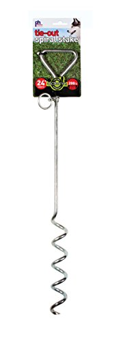 Prevue Pet Products 2112 Heavy Duty 61 cm Spiralspieß von PH Prevue Hendryx