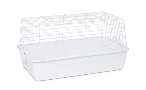 Prevue Pet Products Carina Animal Tubby, Small, weiß von PH Prevue Hendryx
