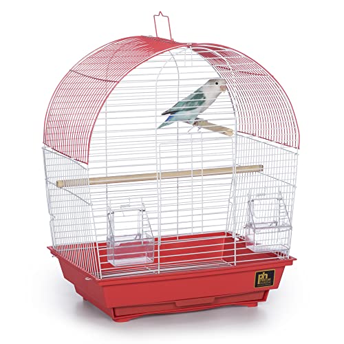 PREVUE PET Products South Beach Dome Top Vogelkäfig, Coral von PH Prevue Hendryx