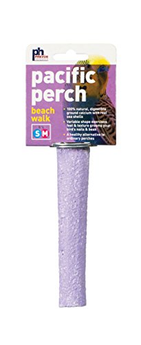 PREVUE PET PRODUCTS bpv1005 natürliche Muschel beachwalk Vogel-Sitzstange, klein, Farben variieren von Prevue Hendryx