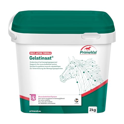 PRIMEVAL Gelatinaat Pulver - unterstützt und trägt zur Flexibilität und Gelenkfunktion des Pferdes - Ergänzungsfuttermittel auf Basis von Kollagen Typ I und II, Magnesium, Calcium - 2kg Eimer von PRIMEVAL