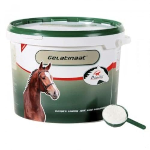 PRIMEVAL Gelatinaat Pulver - unterstützt und trägt zur Flexibilität und Gelenkfunktion des Pferdes - Ergänzungsfuttermittel auf Basis von Kollagen Typ I und II, Magnesium, Calcium - 2kg Eimer von PRIMEVAL