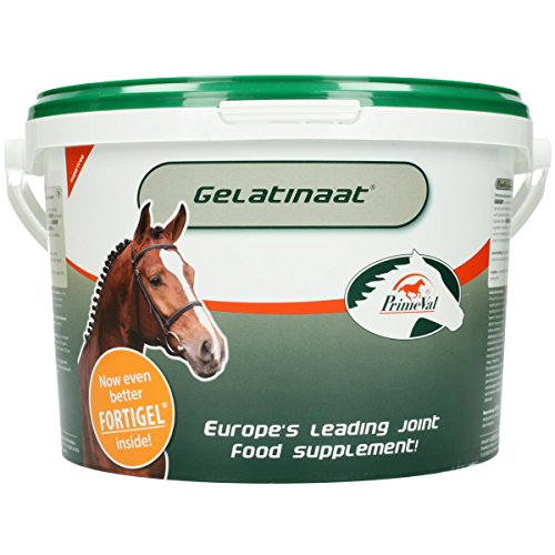 Unbekannt Primeval Gelatinat Pferd - 5 kg Unbekannt Primeval Gelatinat Pferd - 5 kg von PRIMEVAL