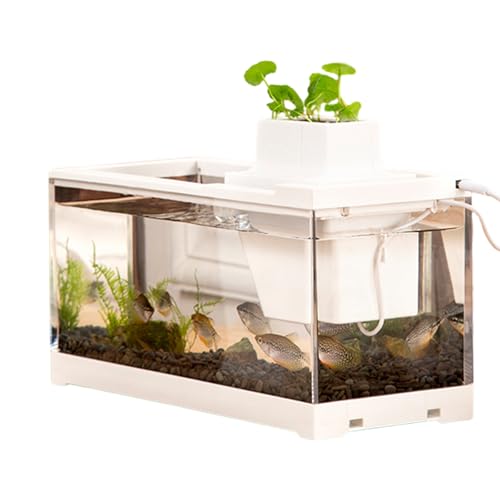 Desktop-Aquarium, Desktop-Fischaquarium-Pumpentank, leises Niederspannungs-Tischaquarium mit Wasserpumpe, auslaufsicheres kleines Aquarium für Tische, Schreibtische, Heimbüro von PRIMUZ