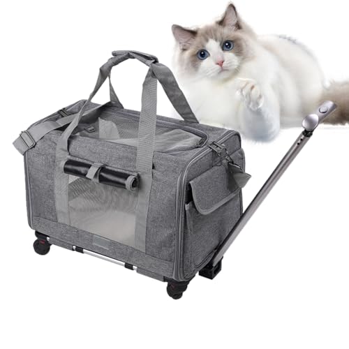 Große Tragetasche für Katzen, Hunde, Haustiere, Reisetasche, Organizer, Sicherheits-Reißverschlüsse, Tragegurt, von Fluggesellschaften zugelassene Katzenkisten für Autoreisen, Indoor-Katzen und Hunde Große Tragetasche für Katzen, Hunde, Haustiere, Reisetasche, Organizer, Sicherheits-Reißverschlüsse, Tragegurt, von Fluggesellschaften zugelassene Katzenkisten für Autoreisen, Indoor-Katzen und Hunde von PRIMUZ