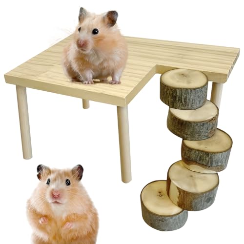 Hamster Leiter: PRITOK Hamster Zubehör Käfig, Hamster Spielplatz aus Holz, Hamsterleiter Kletterspielzeug Kletterspielzeug Aktivitätsplattform Kreistreppe geeignet für kleine Haustier Meerschweinchen von PRITOK