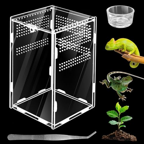 Insekten-Terrarium Set, PRITOK 360 ° Reptilien Terrarium Box Acryl Terrarium Glas für Reptilien und Amphibien, Tragbarer Lebensraum für Spide, Skorpion, Käfer, Gottesanbeterin, 20x12x12cm Insekten-Terrarium Set, PRITOK 360 ° Reptilien Terrarium Box Acryl Terrarium Glas für Reptilien und Amphibien, Tragbarer Lebensraum für Spide, Skorpion, Käfer, Gottesanbeterin, 20x12x12cm von PRITOK