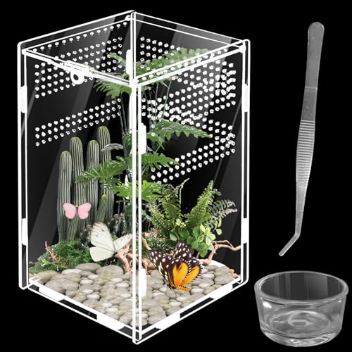 Reptilien Terrarium Box, PRITOK 360 ° Insekten-Terrarium Set Acryl Terrarium Glas für Reptilien und Amphibien, Tragbarer Lebensraum für Spide, Skorpion, Käfer, Gottesanbeterin, 20x12x12cm von PRITOK