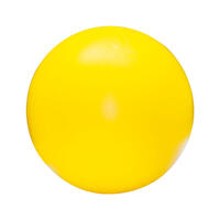 Treibball [25cm - Gelb] von PROCYON®
