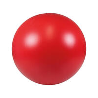 Treibball [25cm - Rot] von PROCYON®
