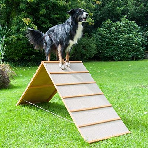 Dog Agility A-Wand Dog Agility A-Wand von PROCYON