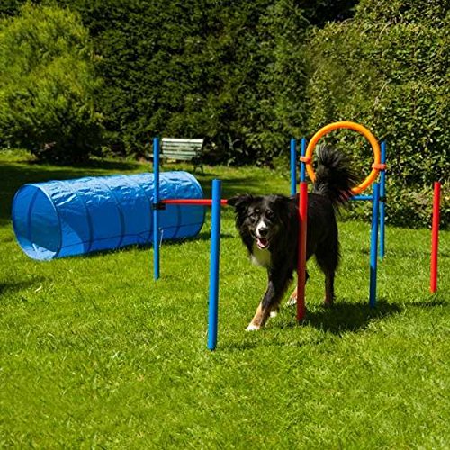 Dog Agility Set K2 von PROCYON