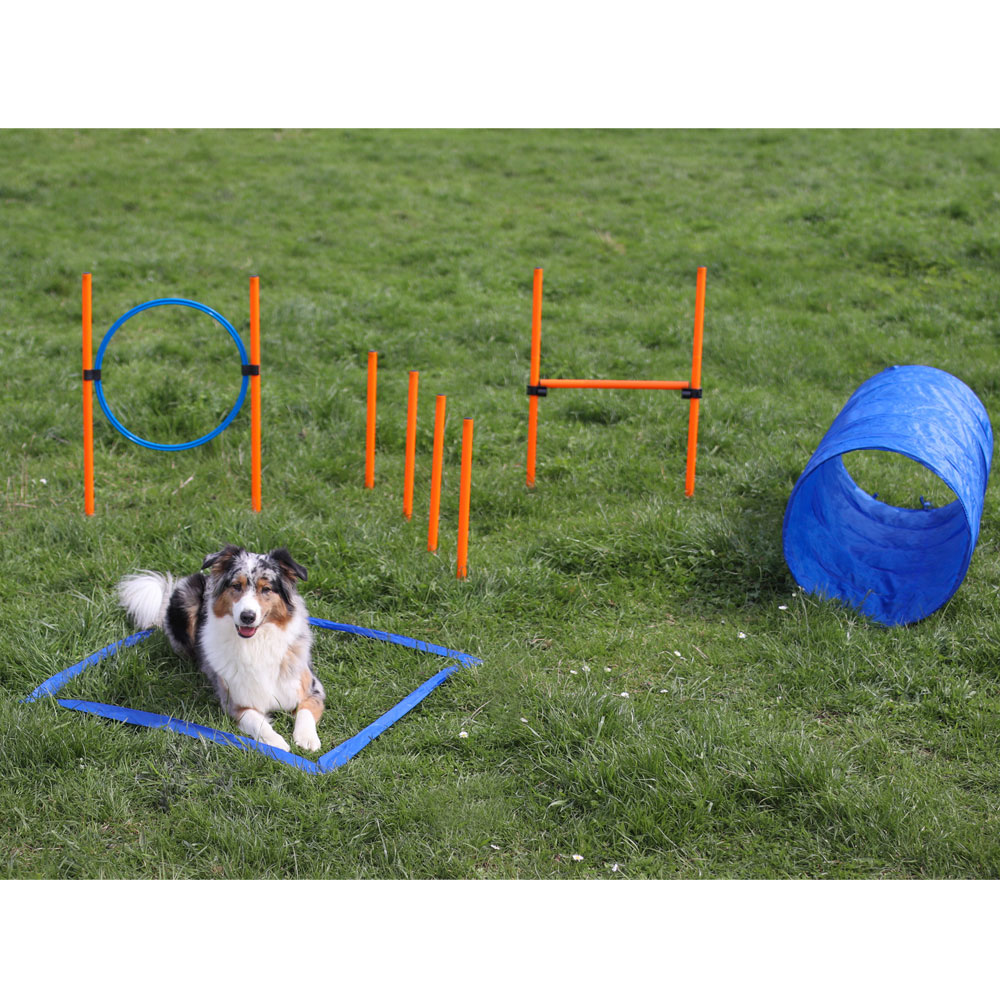 Dog Agility Starter Set X Dog Agility Starter Set X von PROCYON
