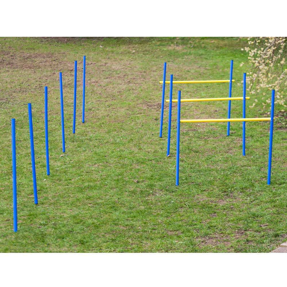 Dog Agility Trainings-Set 2 für Einsteiger Dog Agility Trainings-Set 2 für Einsteiger von PROCYON