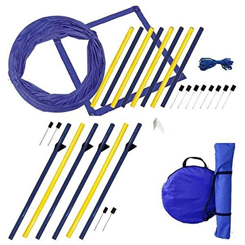 Procyon Dog Agility XXL-Set von Procyon