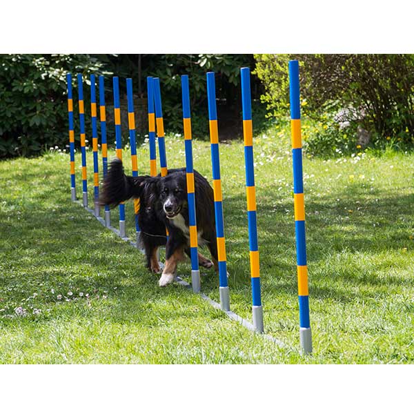 PROCYON Dog Agility Profi Alu Slalom von PROCYON