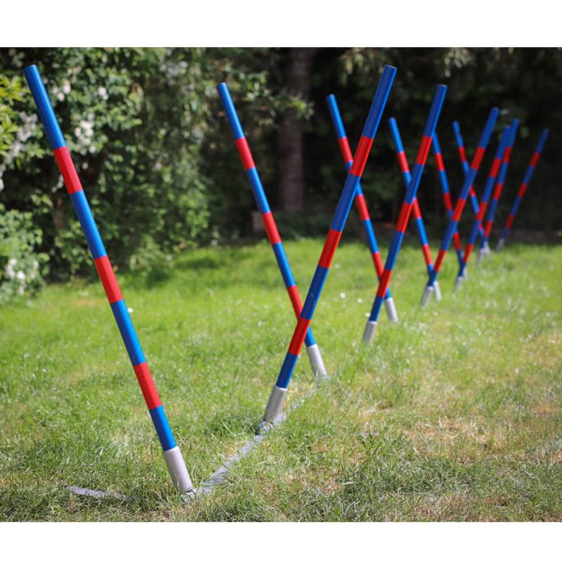 PROCYON Dog Agility Profi Alu V-Slalom PROCYON Dog Agility Profi Alu V-Slalom von PROCYON