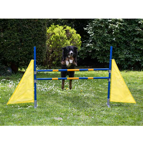 PROCYON Dog Agility Profi Hürde PROCYON Dog Agility Profi Hürde von PROCYON