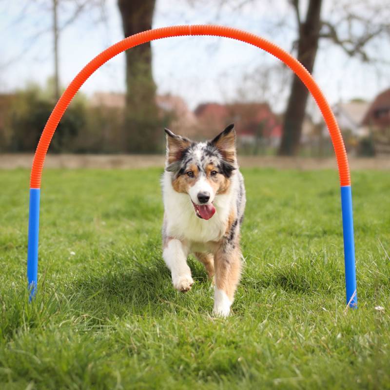 PROCYON Hoopers Set PROCYON Hoopers Set von PROCYON