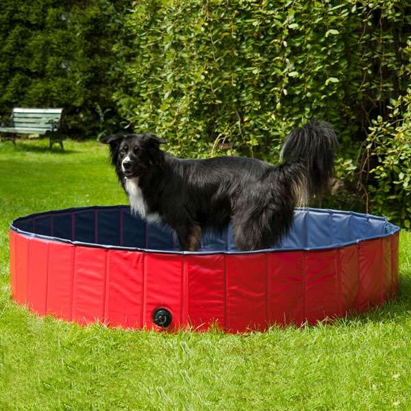 PROCYON Hundepool - 120 cm PROCYON Hundepool - 120 cm von PROCYON