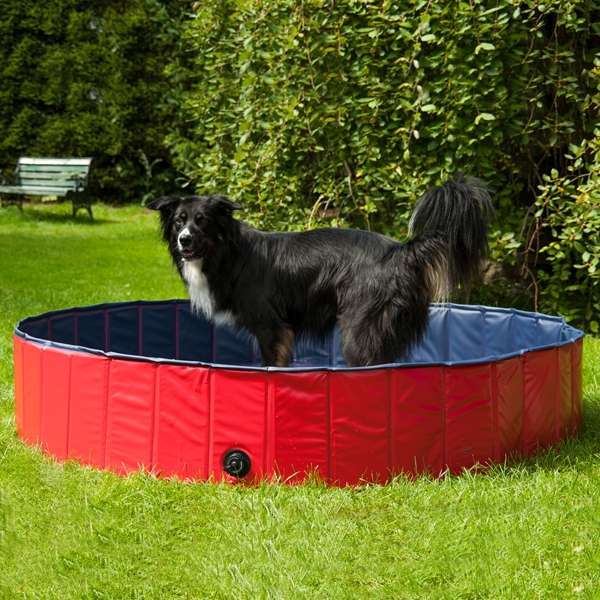 PROCYON Hundepool - 160 cm PROCYON Hundepool - 160 cm von PROCYON